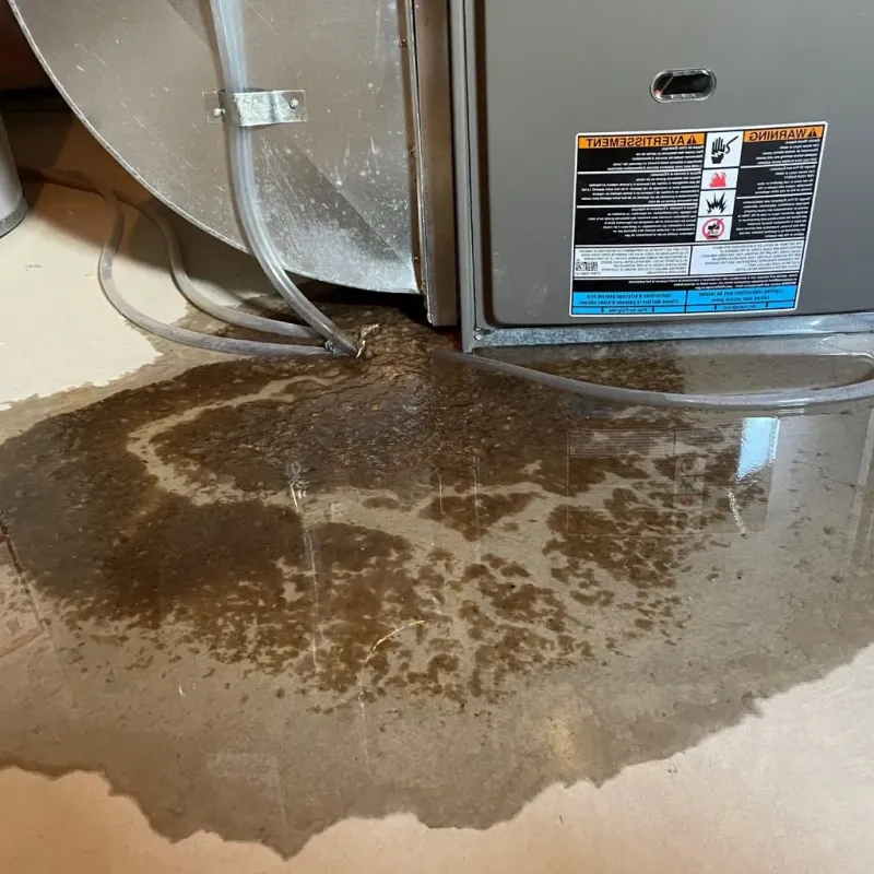 Pipe Burst and Leak Restoration in New Cumberland, PA