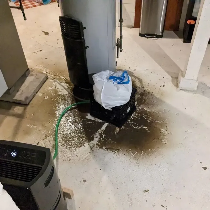 Sewage Backup Cleanup Service in New Cumberland, PA